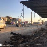 کمک سیامک عباسی به زلزله زده ها