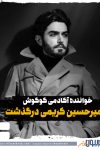 امیرحسین آکادمی گوگوش درگذشت