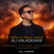 علی ولدخانی دلم به خون نشست